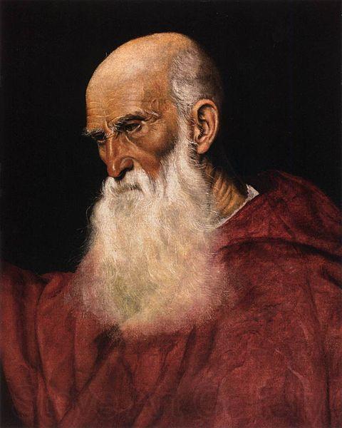 Follower of Jacopo da Ponte Portrait of a Cardinal Norge oil painting art